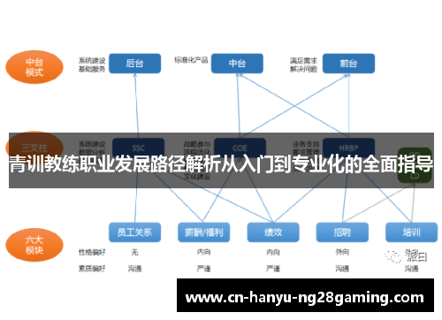 青训教练职业发展路径解析从入门到专业化的全面指导 青训教练职业发展路径解析从入门到专业化的全面指导