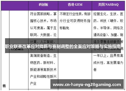 职业联赛改革应对降薪与赛制调整的全面应对策略与实施指南