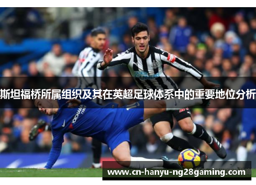 斯坦福桥所属组织及其在英超足球体系中的重要地位分析