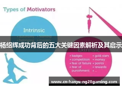 杨绍辉成功背后的五大关键因素解析及其启示