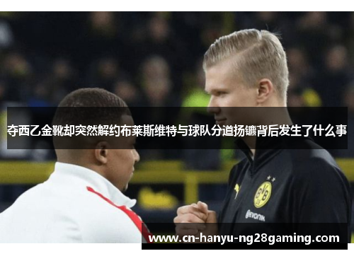 夺西乙金靴却突然解约布莱斯维特与球队分道扬镳背后发生了什么事