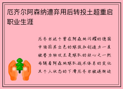 厄齐尔阿森纳遭弃用后转投土超重启职业生涯